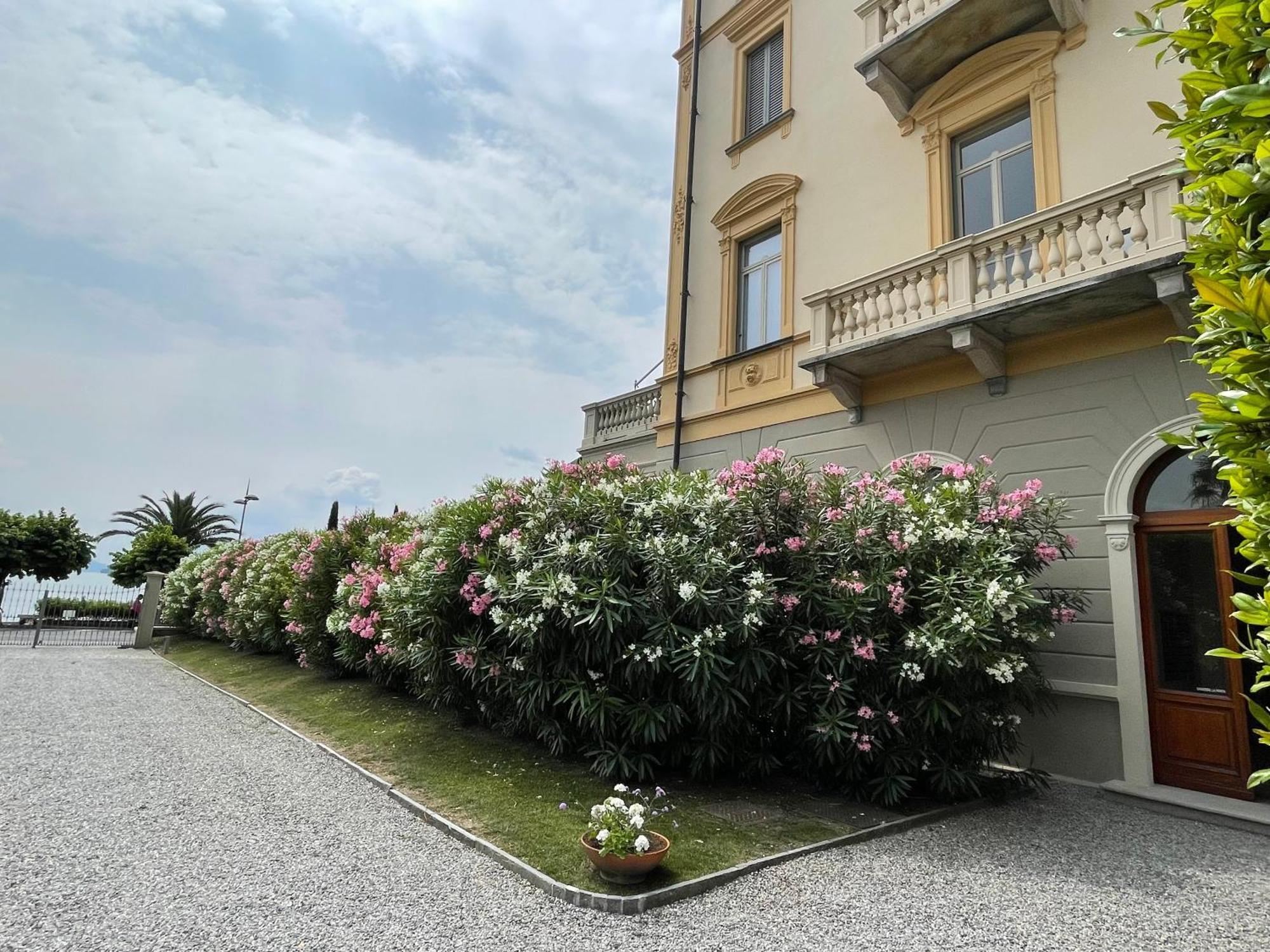 Residenza Victoria Apartment Menaggio Exterior photo